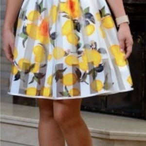 Vintage Larisa Fashion Lemon Poppy Pleated Midi Skirt Sheer Overlay Summer Italy